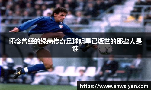 球速体育平台登录入口