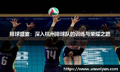 排球盛宴：深入杭州排球队的训练与荣耀之路